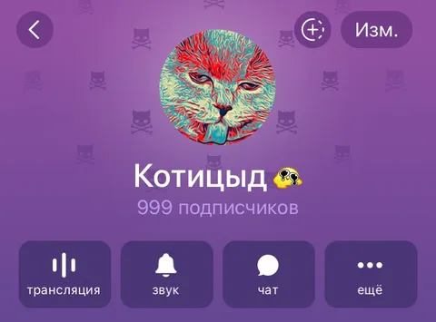 999 подписчиков у кота