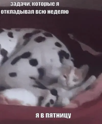 Задачи до пятницы