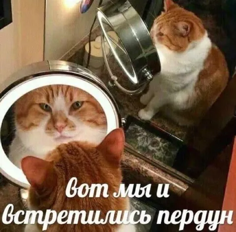 Вот мы и встретились, пердун