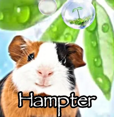 Hampter Guinea Pig Meme