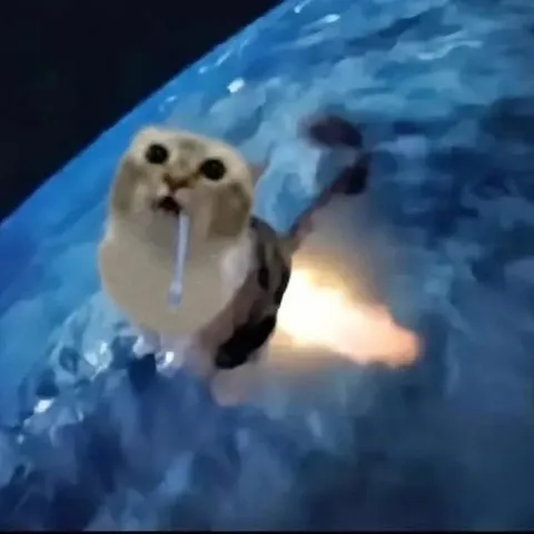 Кот-ракета под водой