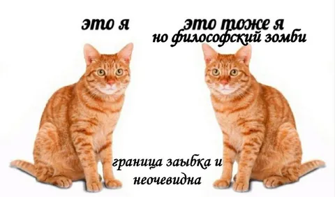 Философский зомби тоже я