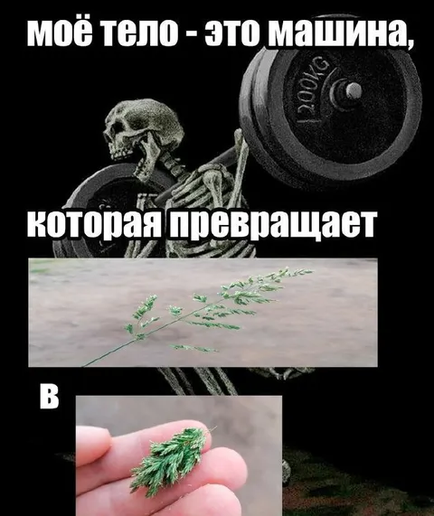 Тело превращает всё в растение
