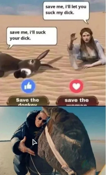 Save the donkey or woman