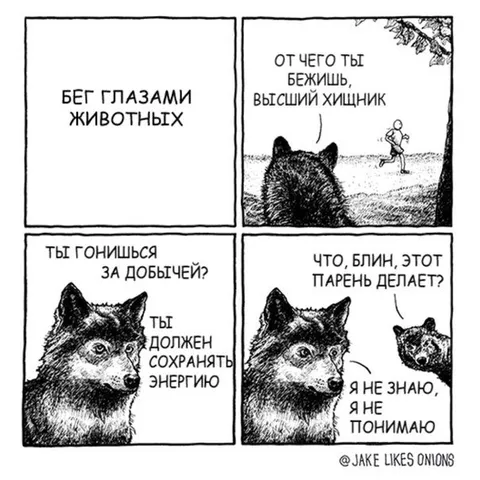Бег глазами животных