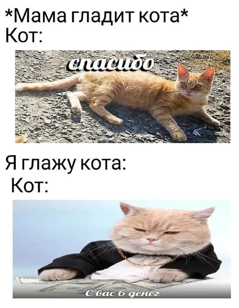 Кот выставляет счёт за ласку