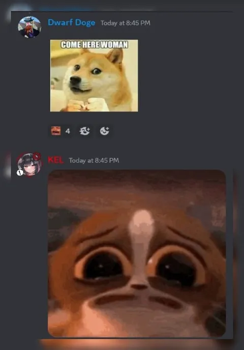Come Here Woman Doge Reaction