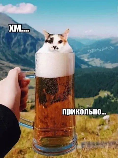 Кот в кружке пива