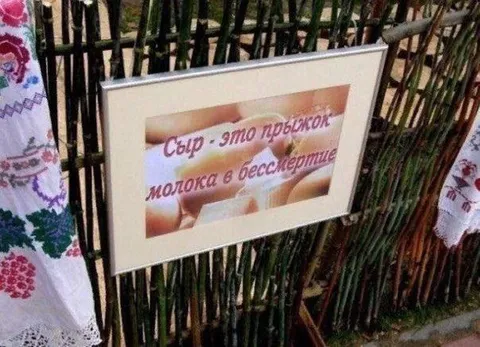 Сыр — прыжок молока в бессмертие