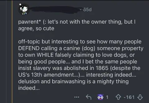 Dog Ownership and Slavery Analogy
