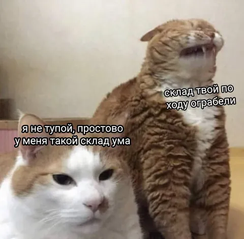 Кот с особым складом ума