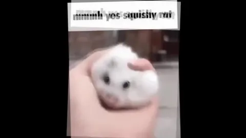 Mmmm Yes Squishy Rat