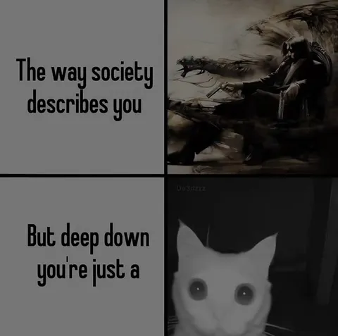 Society Sees You, Cat Inside