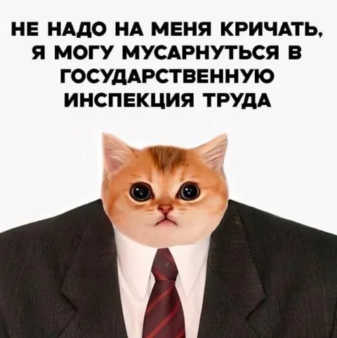 Кот угрожает трудовой инспекцией