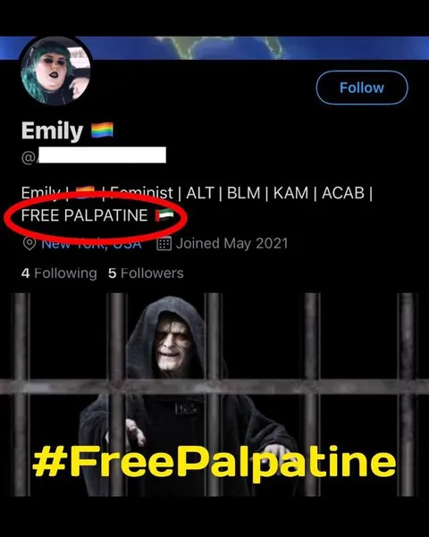 Free Palpatine Activist Profile