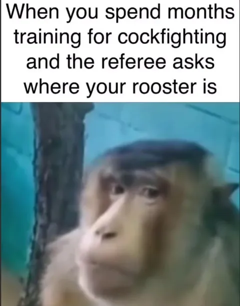 Where Is Your Rooster?