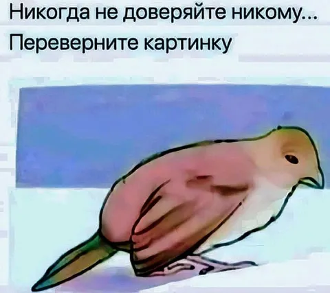 Никогда не доверяйте никому