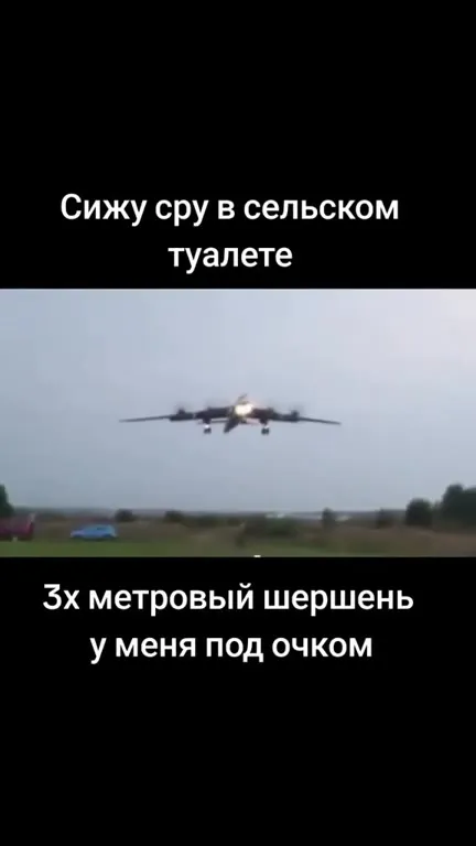 Шершень под очком в туалете