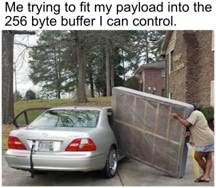 256 Byte Buffer Payload