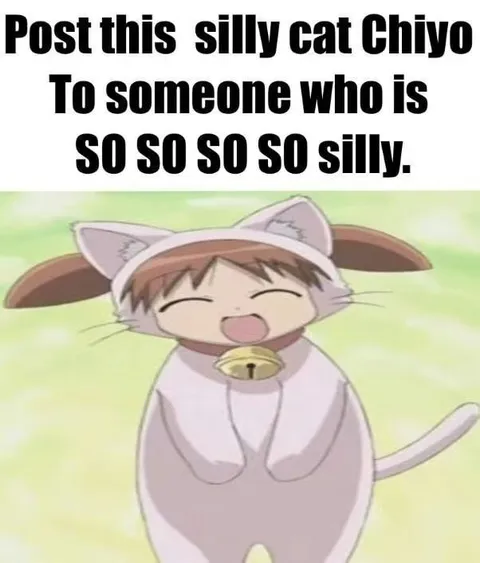 Silly Cat Chiyo