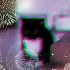 Чёрный кот среди фейерверков