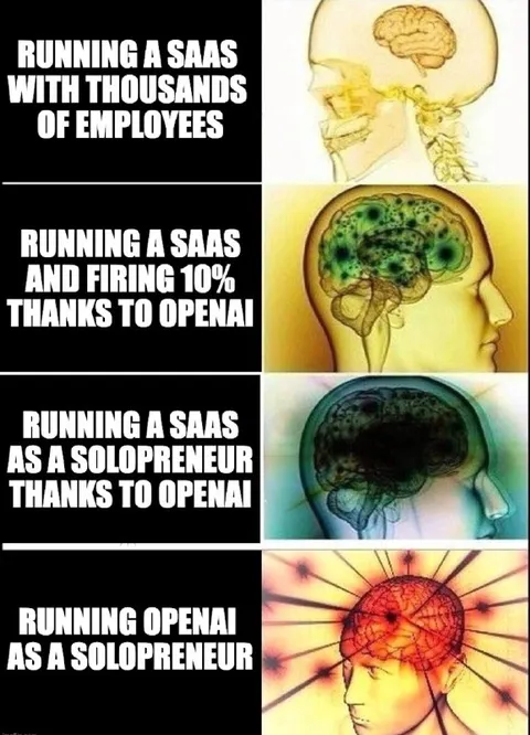 Solo Founder Expanding Brain