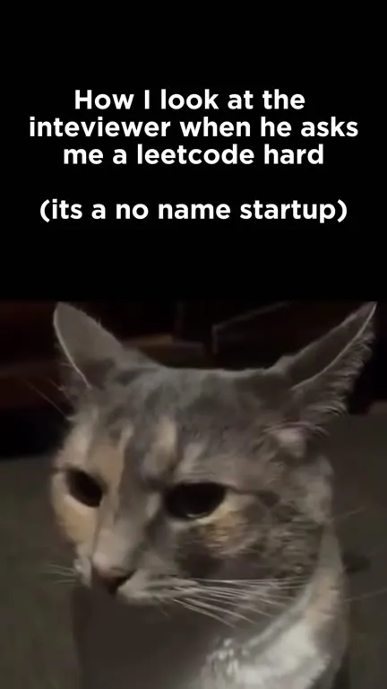 Cat Faces Hard LeetCode Interview