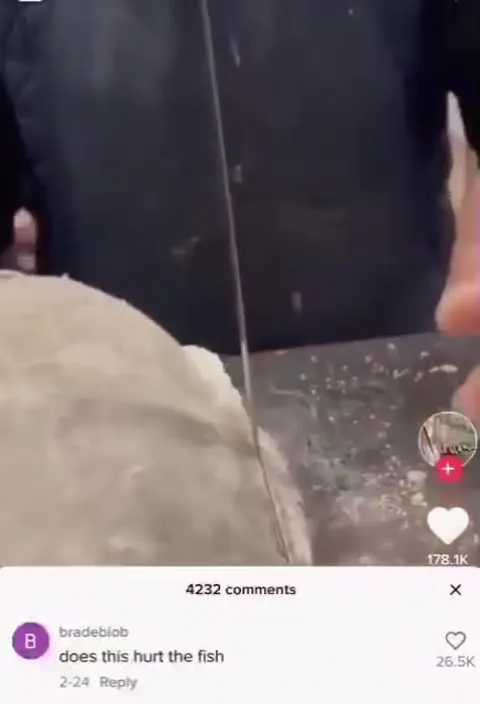 Does This Hurt the Fish