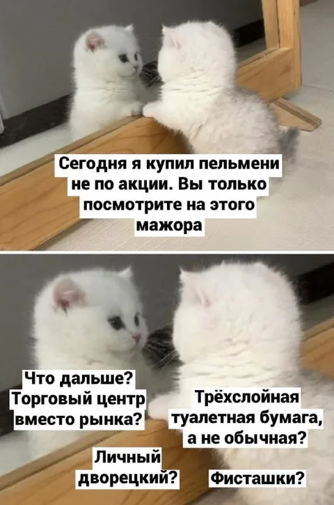 Мажор хвастается покупками