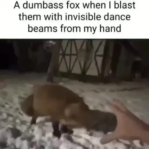 Fox Hit by Invisible Dance Beams