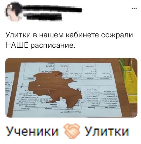 Улитки сожрали расписание