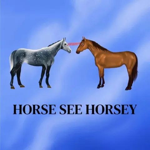 Horse See Horsey