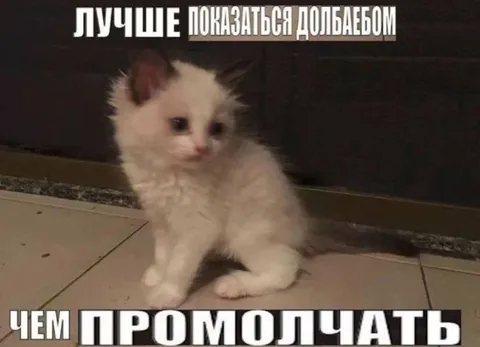 Лучше показаться долбоебом
