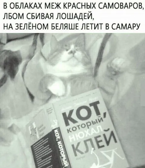 Кот, который нюхал клей