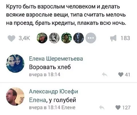 Взрослая жизнь и голуби