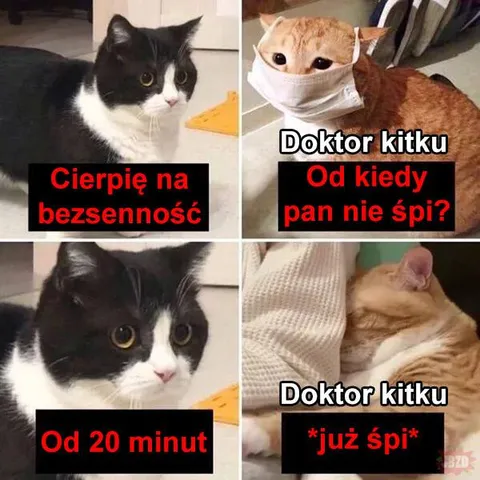Doktor Kitku leczy bezsenność