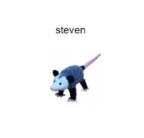 Steven the Opossum