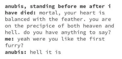 Anubis Asks About Furries
