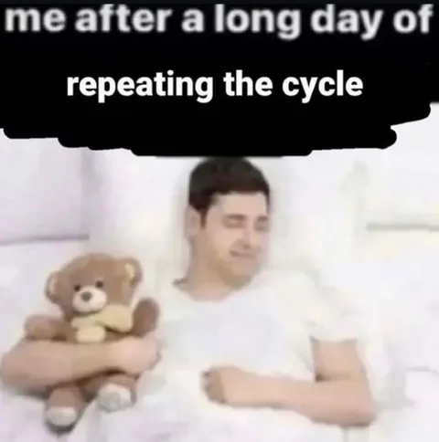Me After Repeating the Cycle