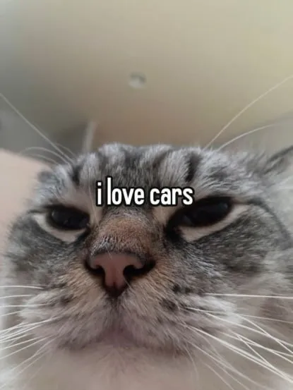 I Love Cars Cat