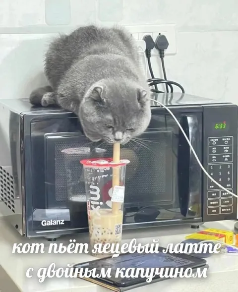 Кот пьёт яичный латте