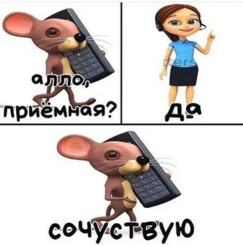Алло, приёмная?