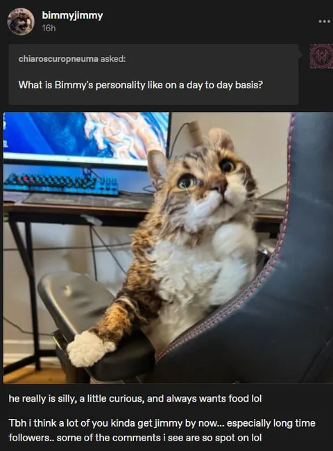 Bimmy's Daily Personality