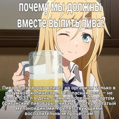 Почему мы должны вместе выпить пива