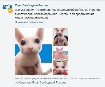 Котёнок и Шлёпа