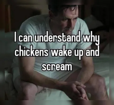 Why Chickens Wake Up Screaming