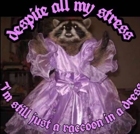 Raccoon in a Dress