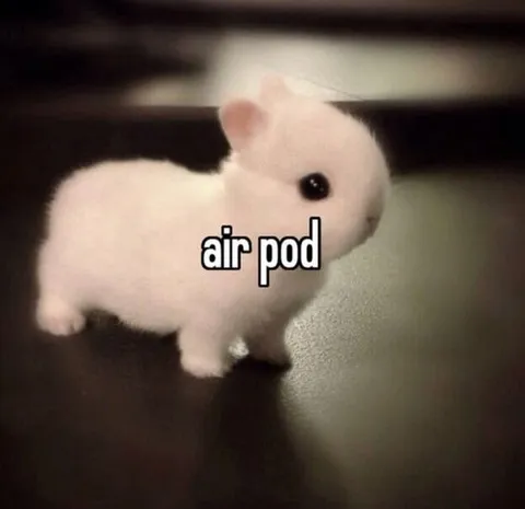 Cute Bunny Air Pod