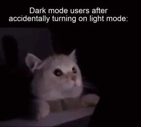 Dark Mode Users See Light Mode