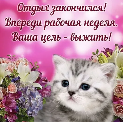 Отдых закончился